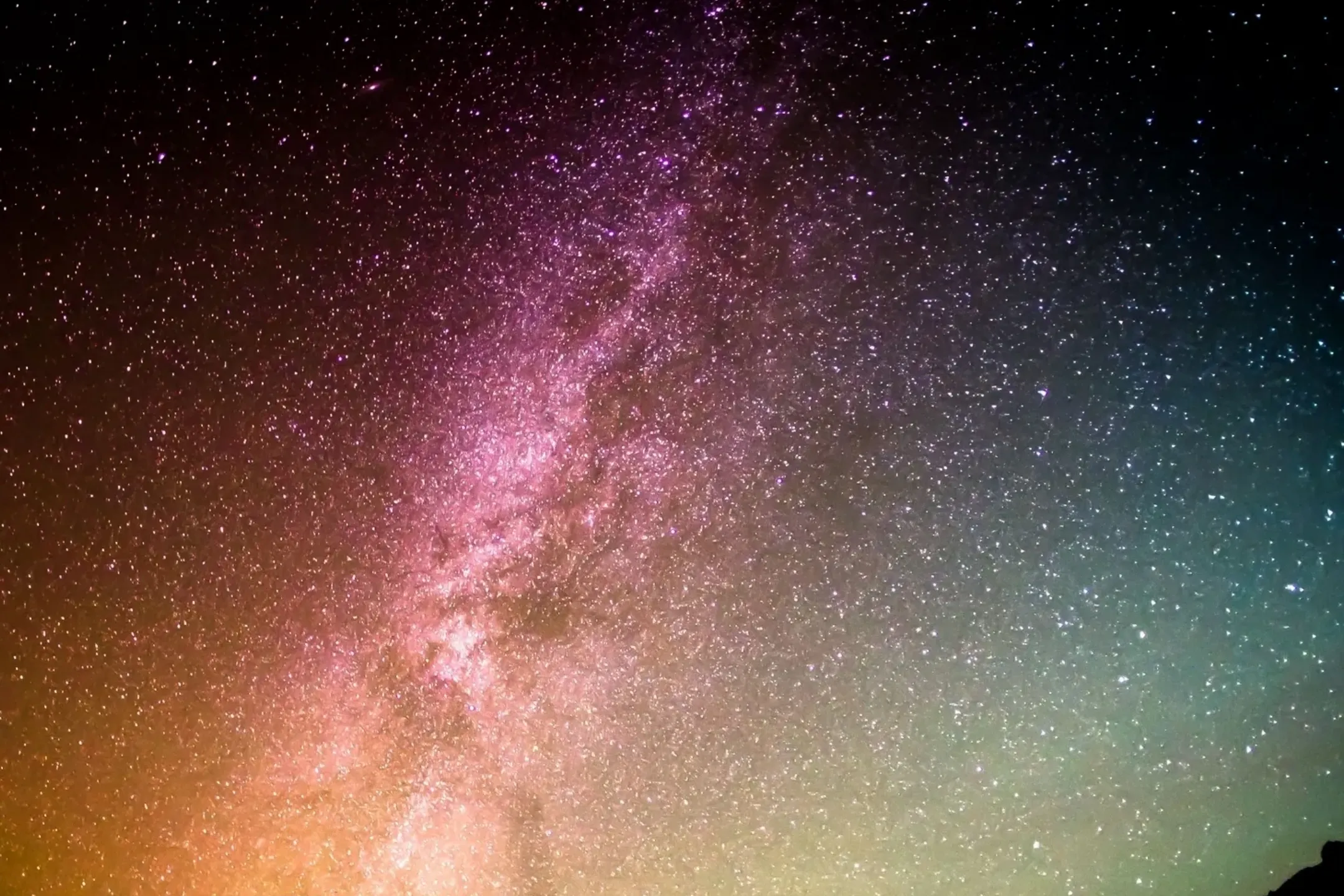 Next Level Bookkeeping hero