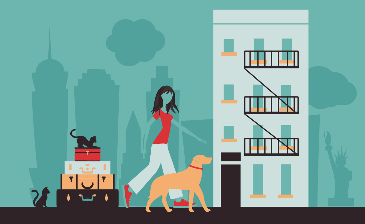 Happy pet in a cozy Manhattan apartment with NYC Petcare