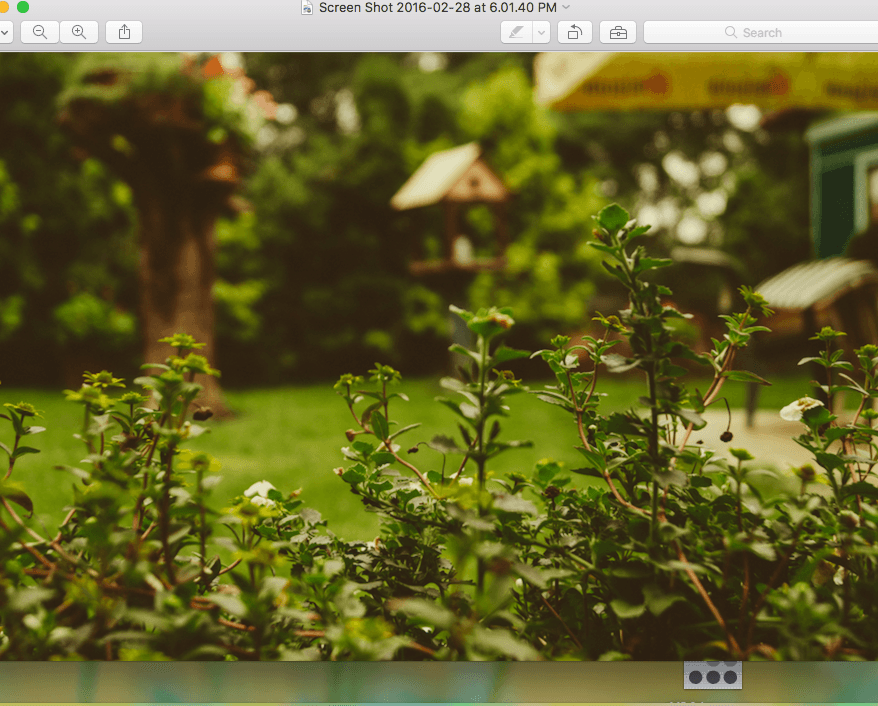 Omaha Landscaping Company team at work