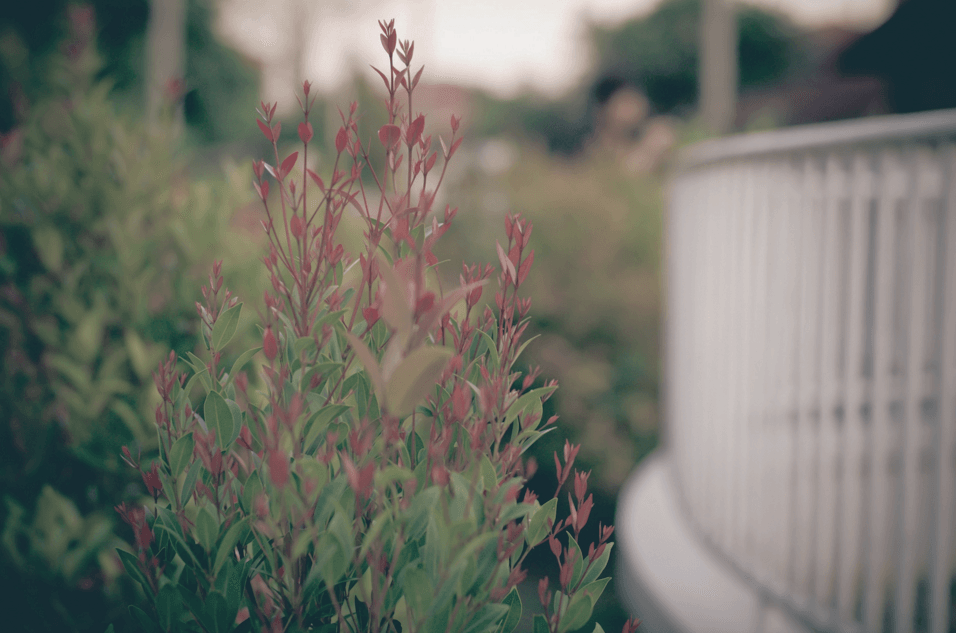 Landscape design project Omaha