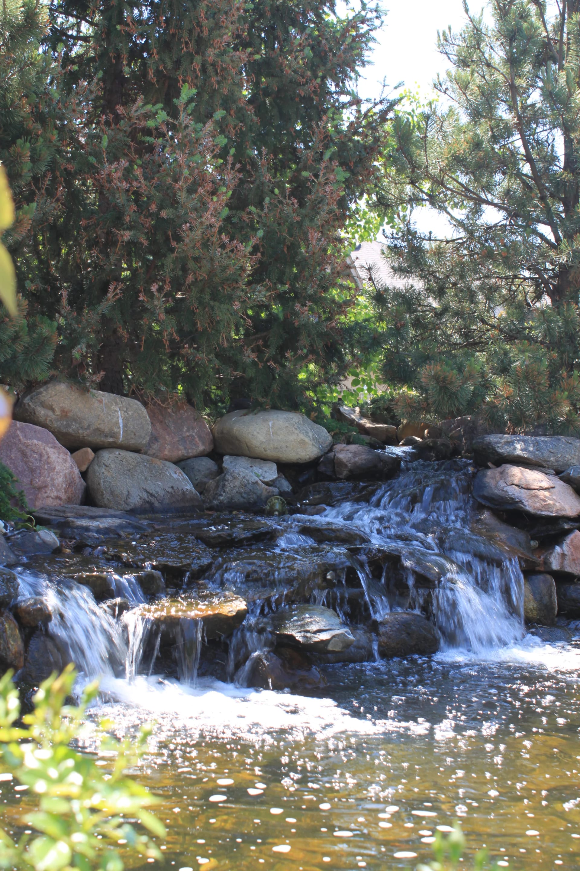 Landscape maintenance services