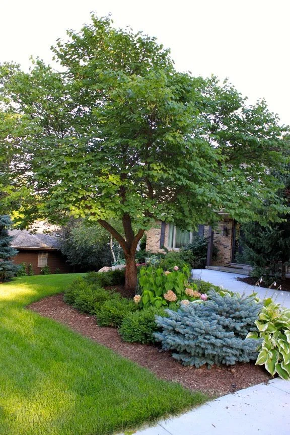 Omaha Landscaping Company Logo