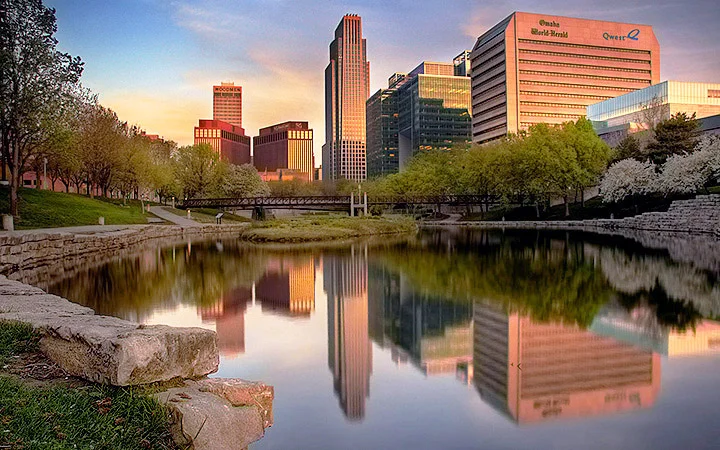 Premium landscaping design