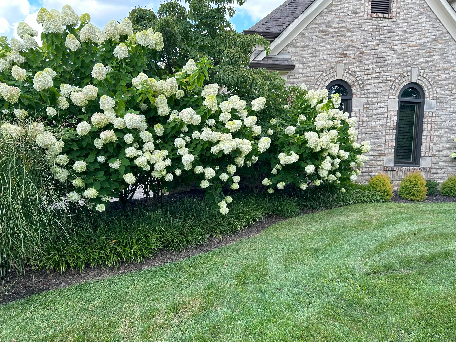 Beautiful landscaping work