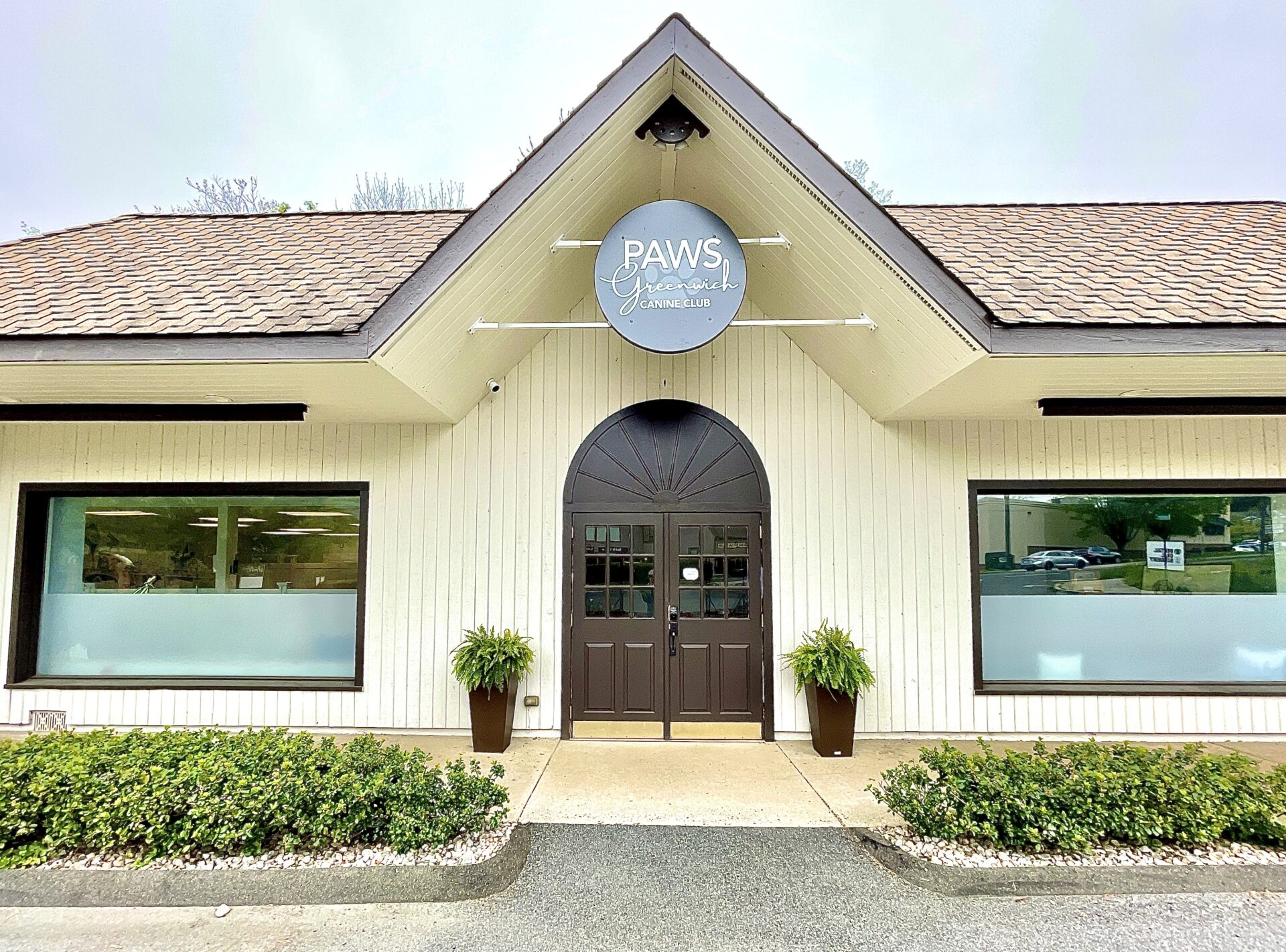 Happy dogs at PAWS of Greenwich