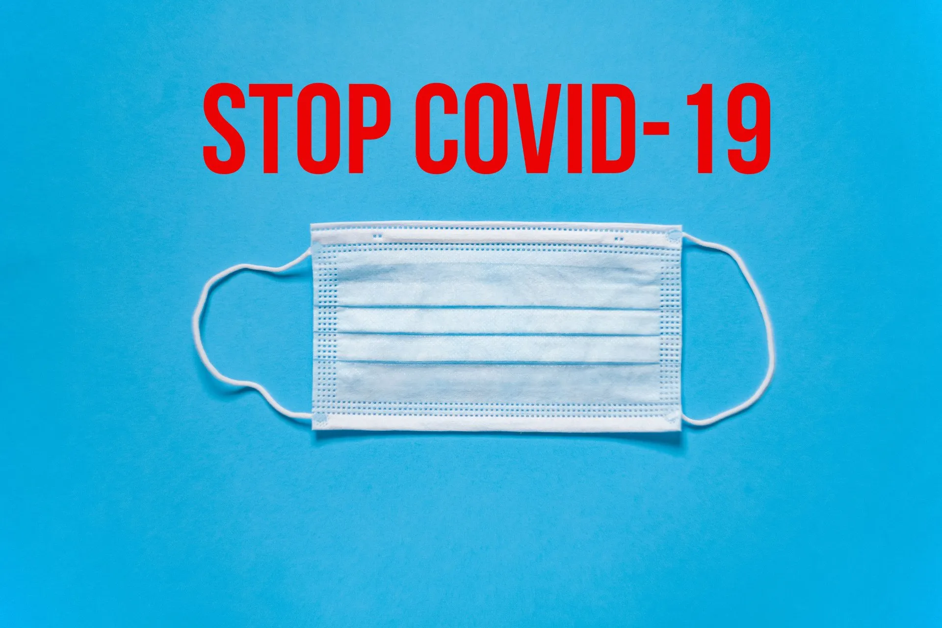 Bed bug removal service