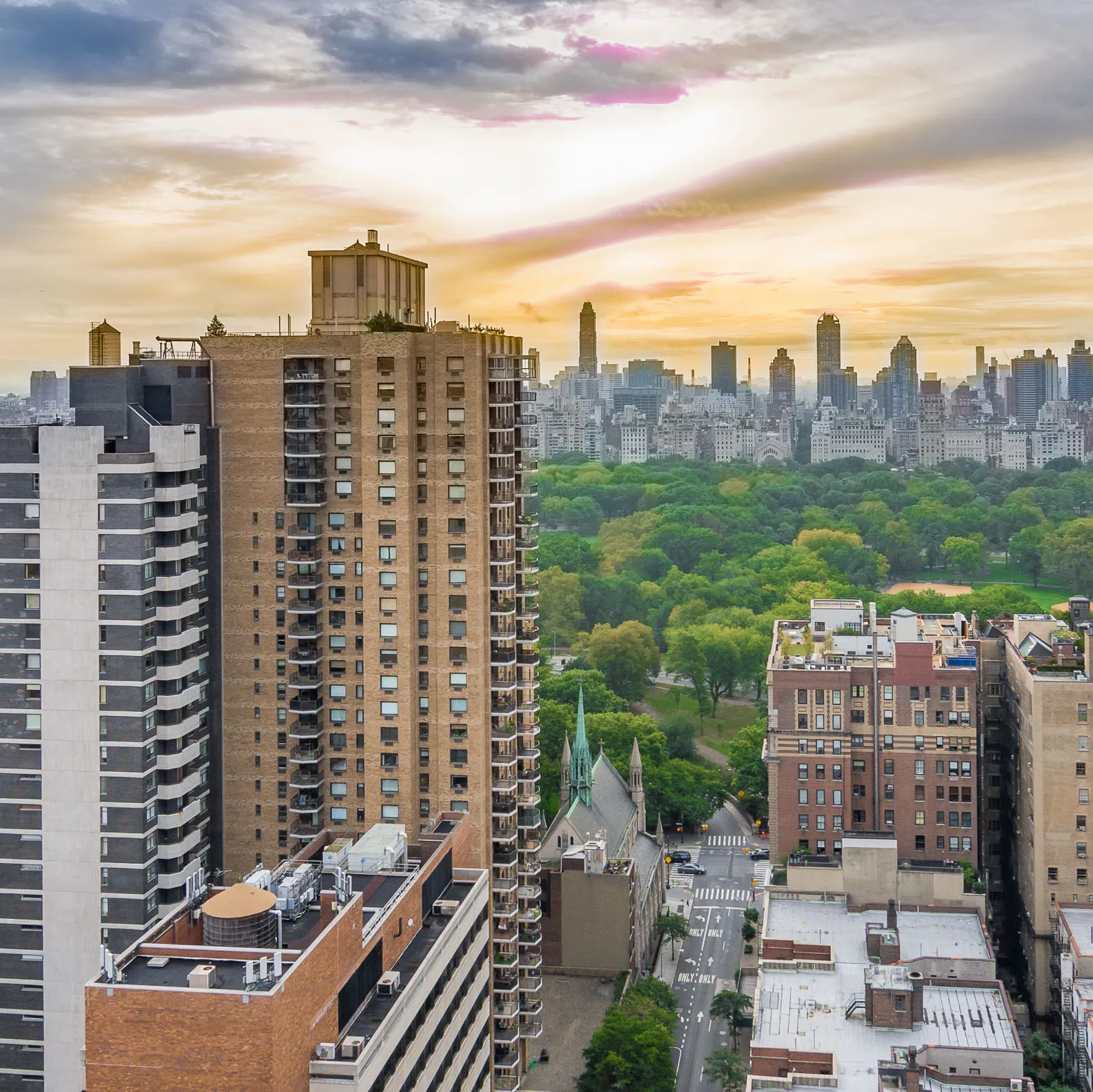 Pest Pro technician at work