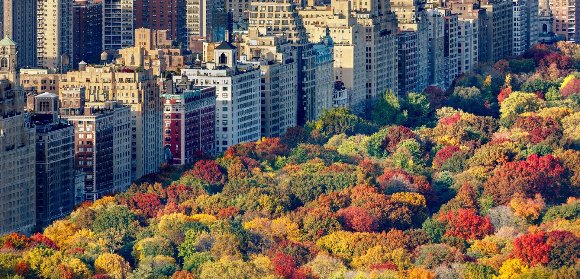 Pest control treatment in progress