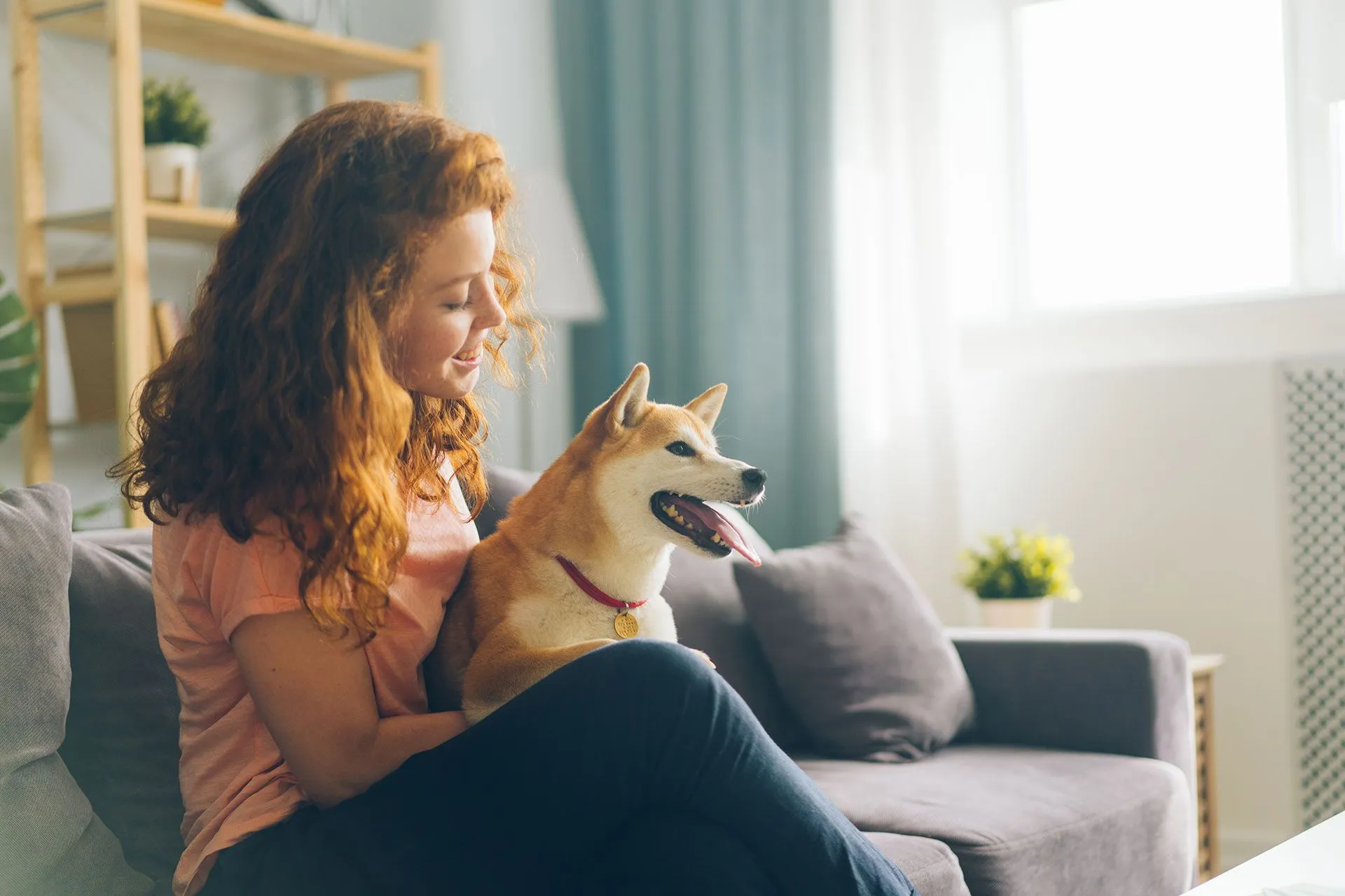 Woman hugging her dog on couch — Pet Limo family care