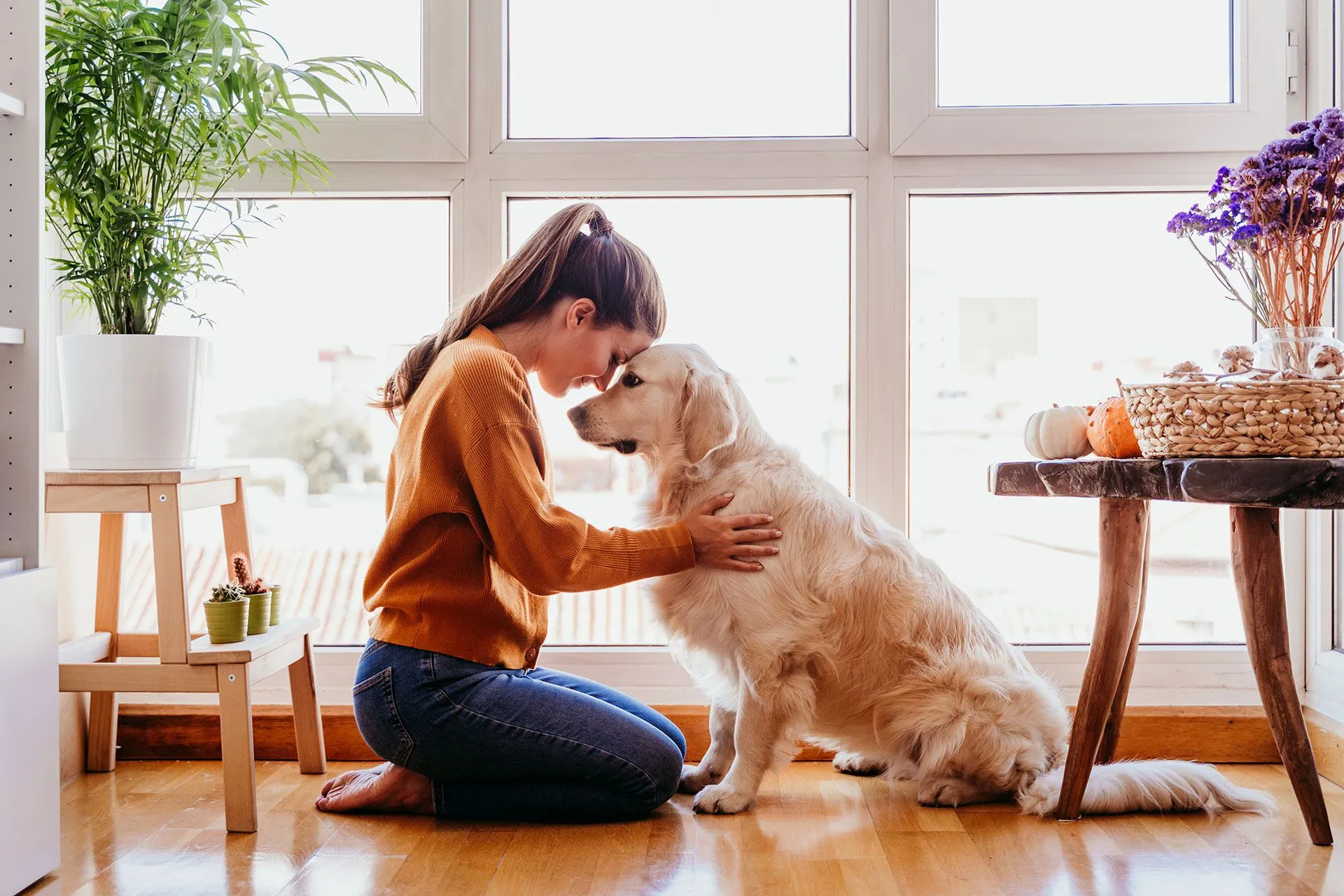 Woman hugging golden retriever at home — luxury pet boarding