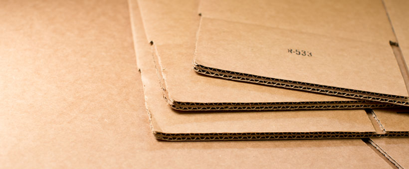 Professional Packing Service