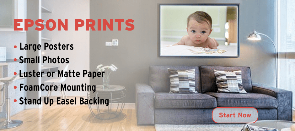 Epson professional printing