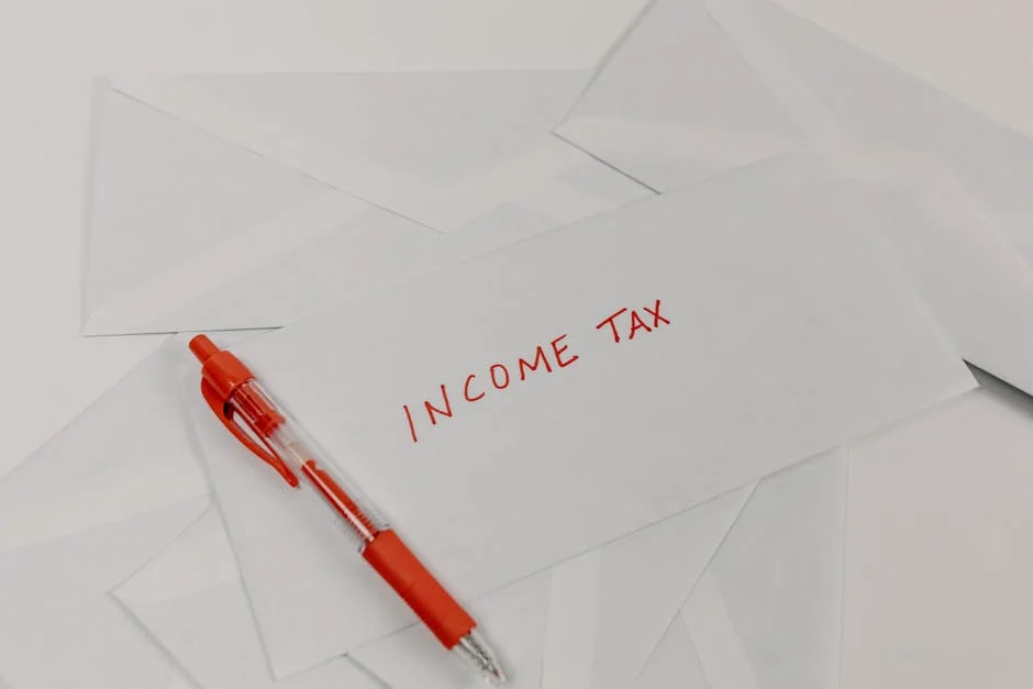 Income tax envelope