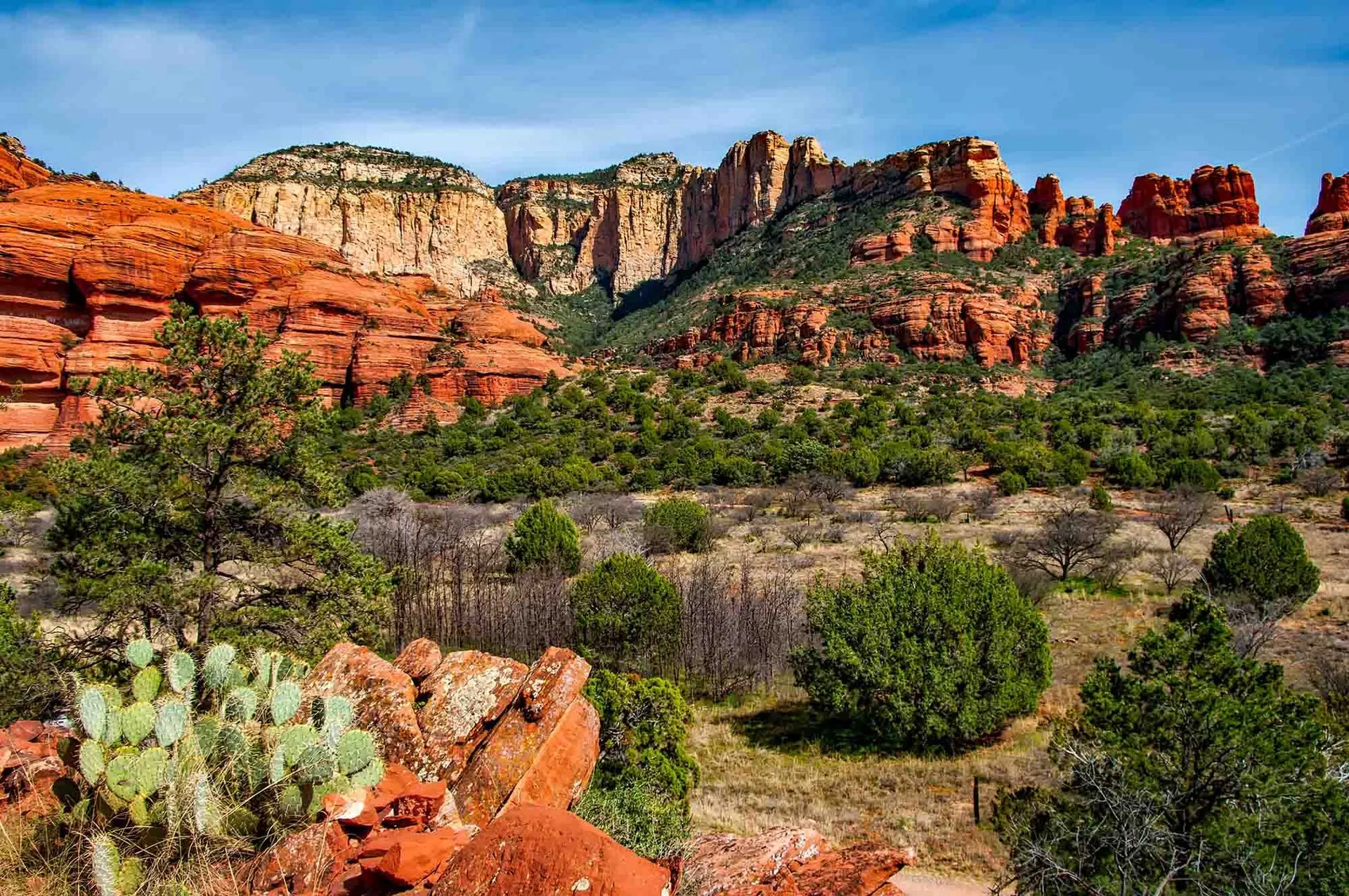 Scottsdale desert landscape