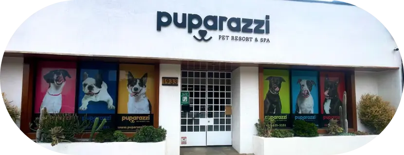 Puparazzi LA team and facility