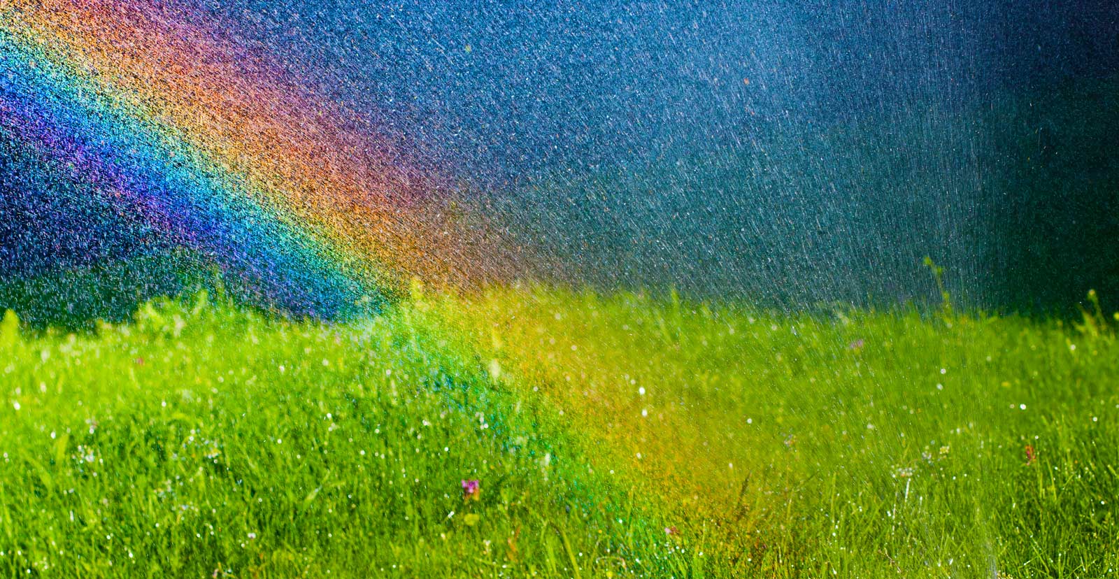 Minnesota Mortgage Company