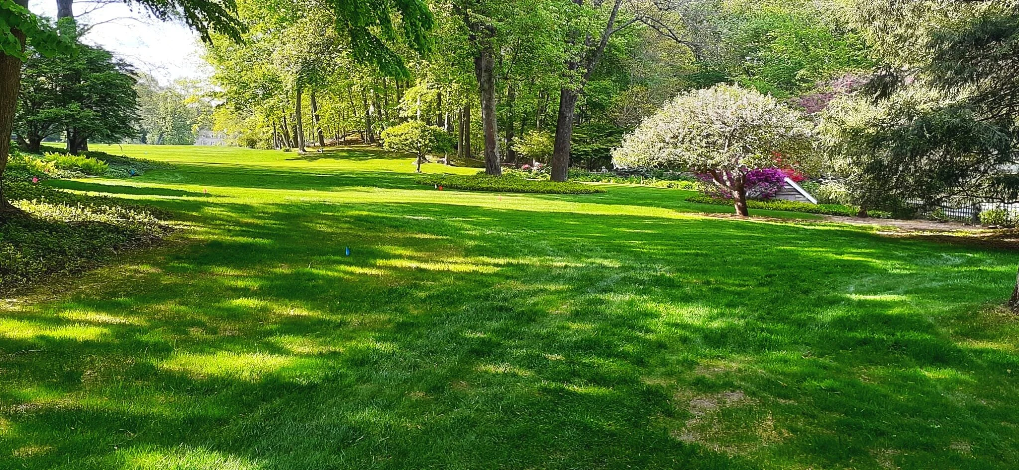 Sam's Garden Landscaping Service team at work