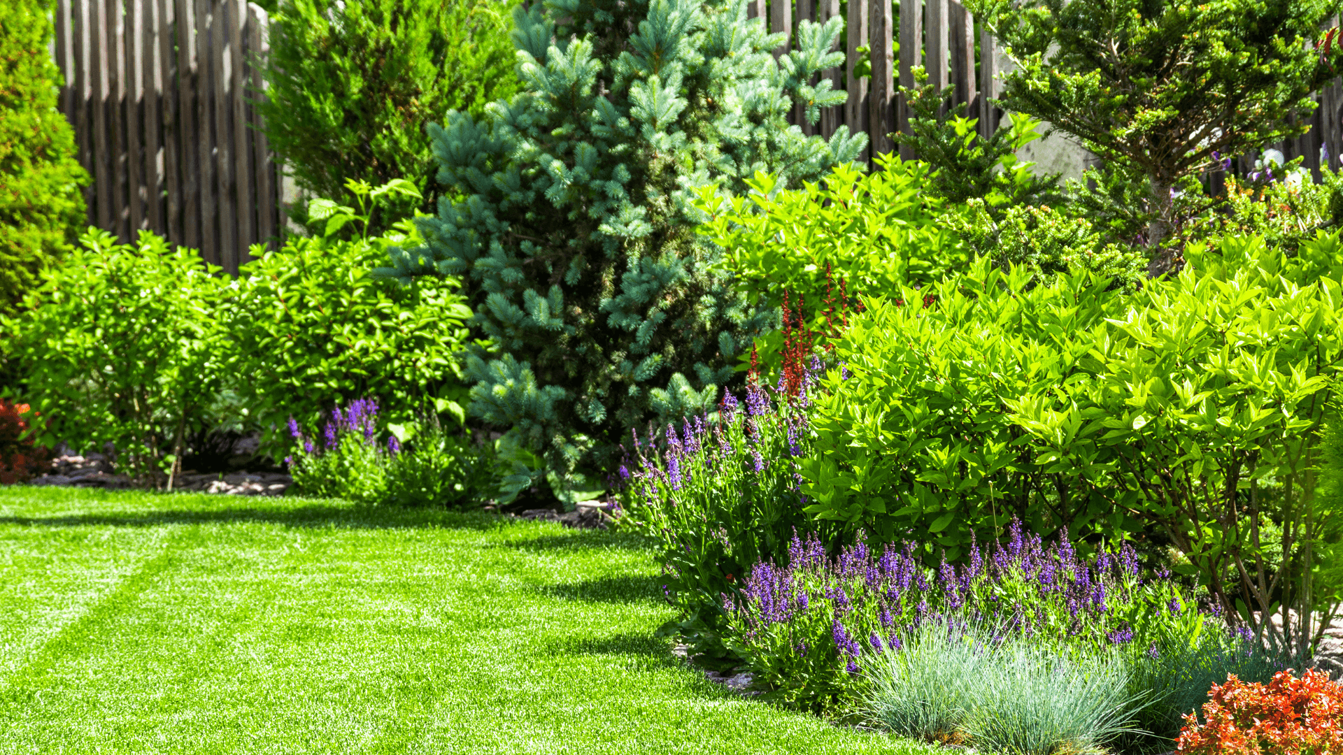 Sam's Garden Service Stamford CT