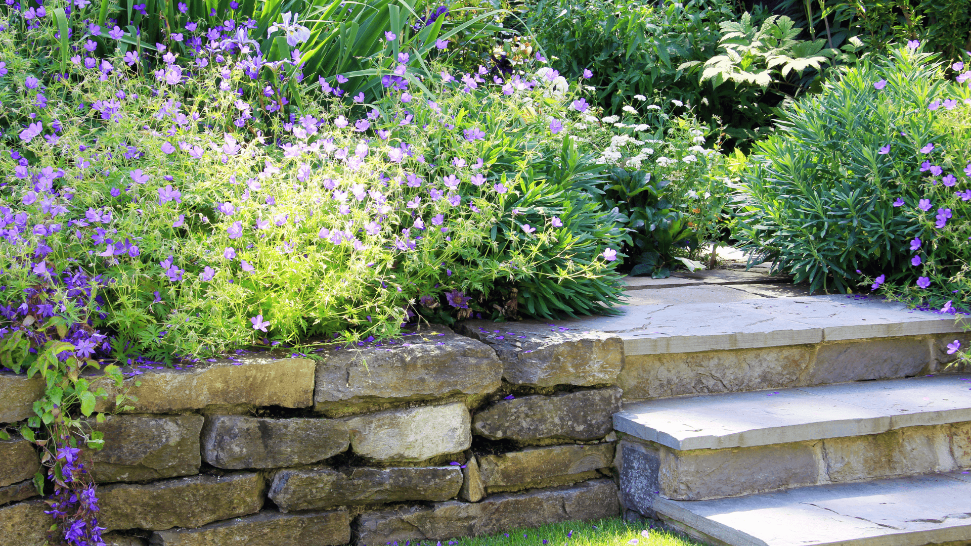 Sam's Garden Masonry Stamford CT