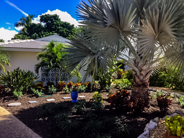 Landscaping project Sarasota