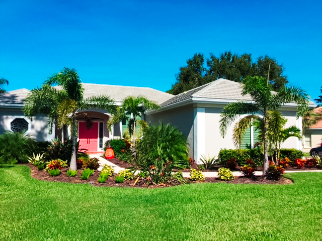 Sarasota landscaping project