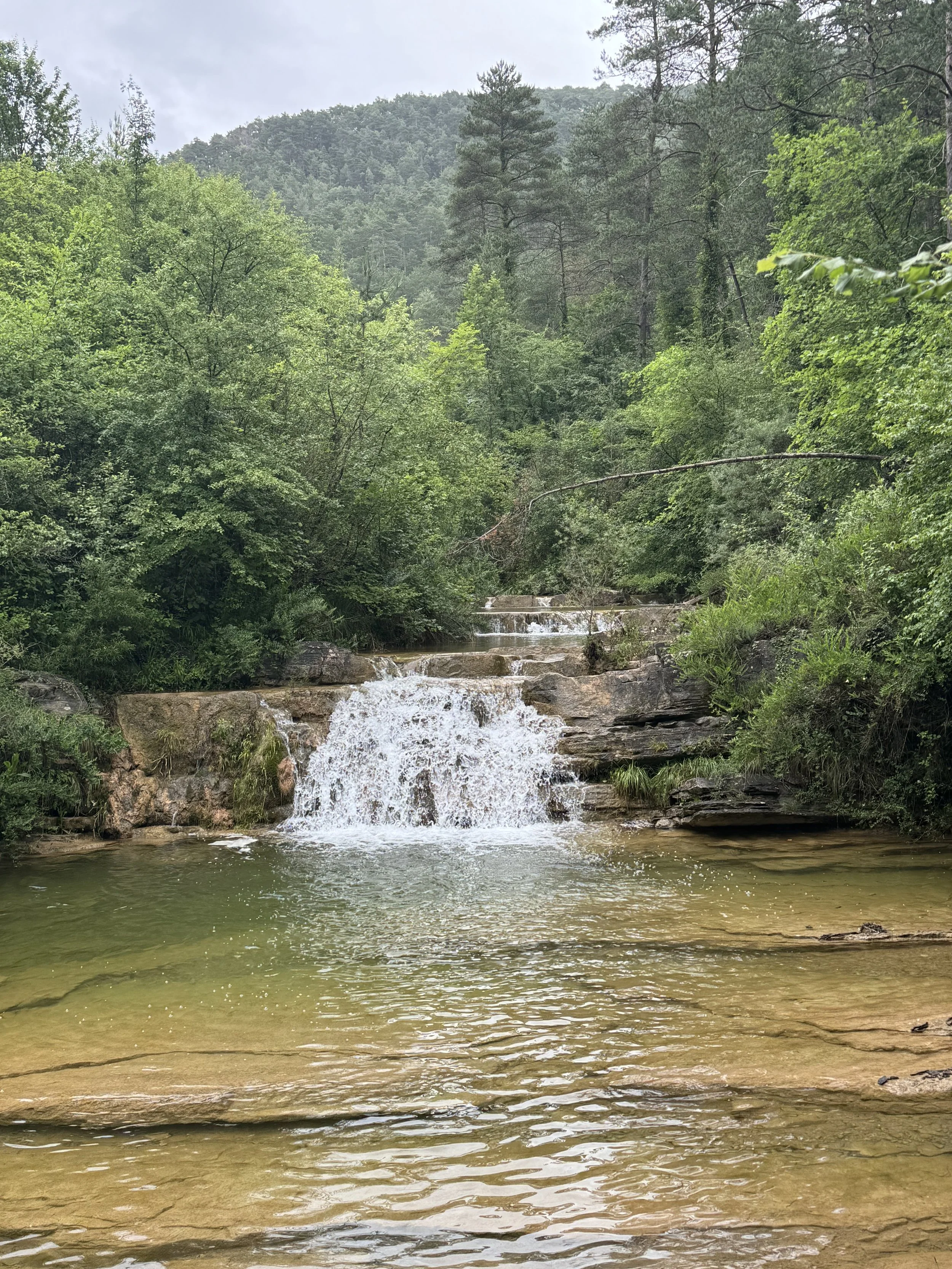 Acupuncture treatment