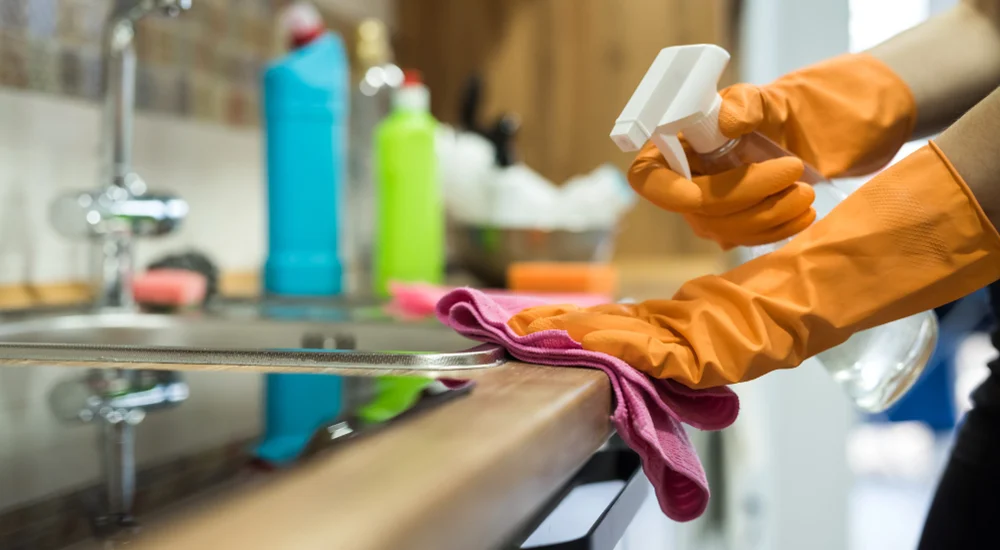 Regular Cleaning Service