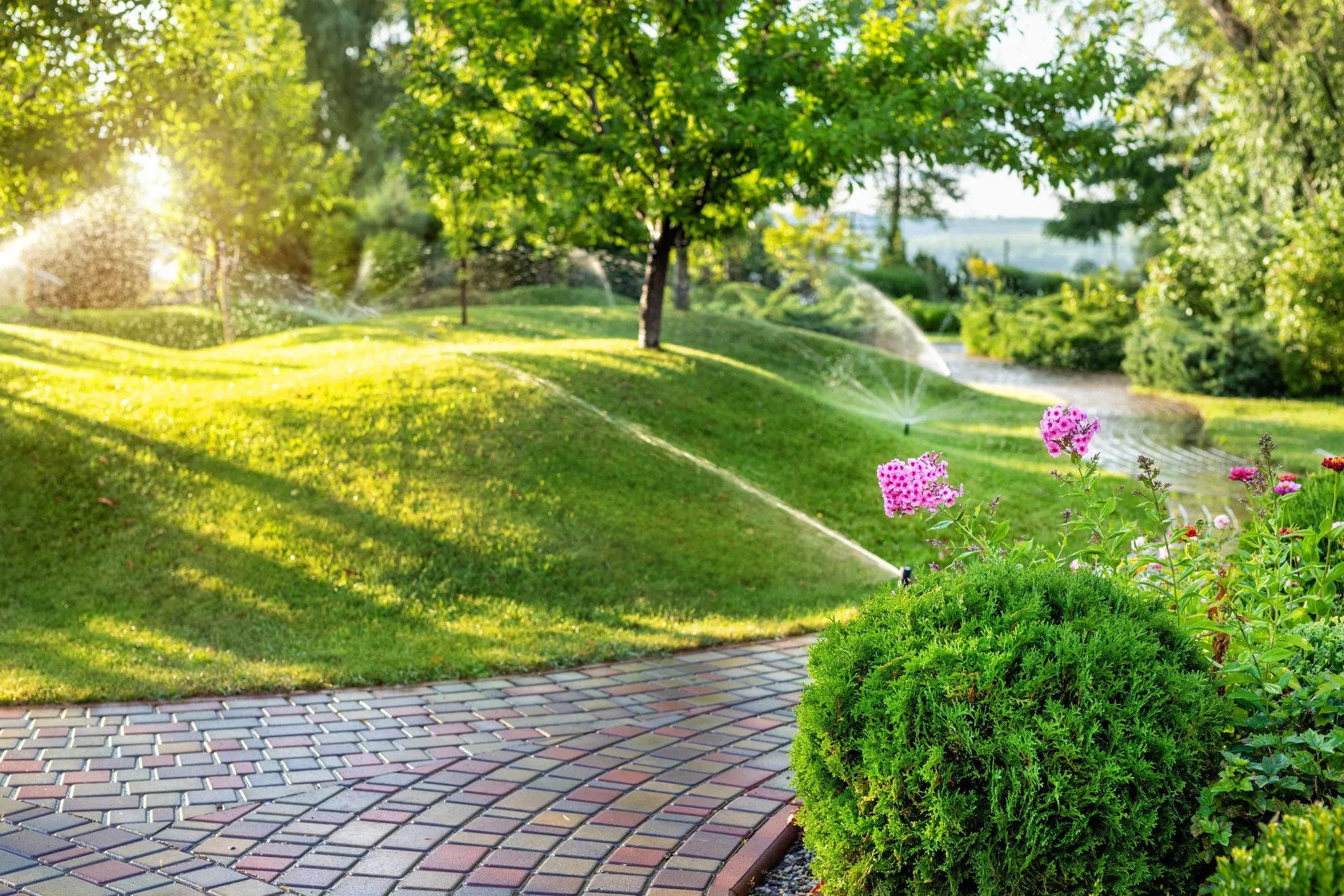Lawn Care San Diego