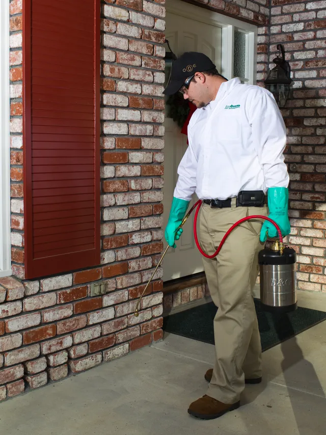 Residential Pest Control San Diego