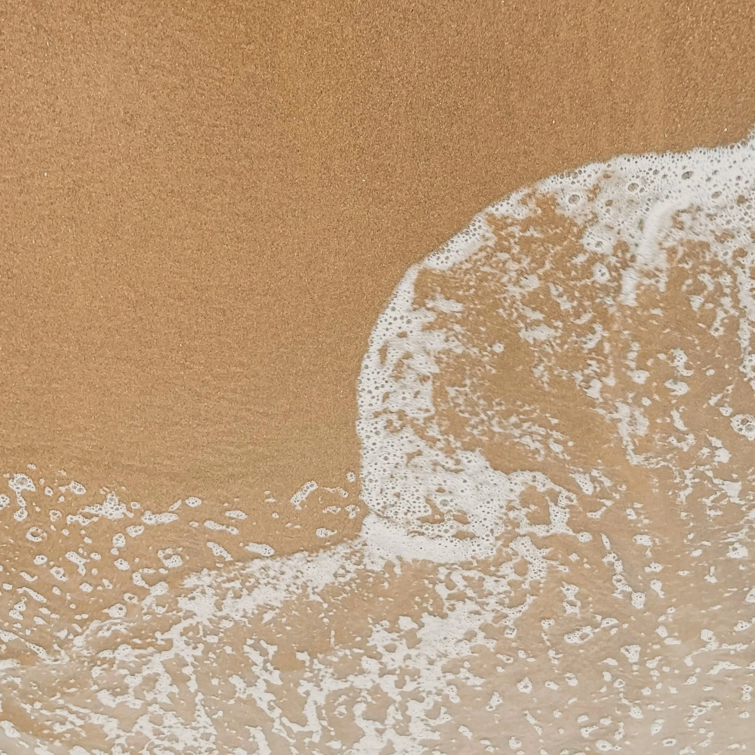 Seashore Speech & Language therapy environment