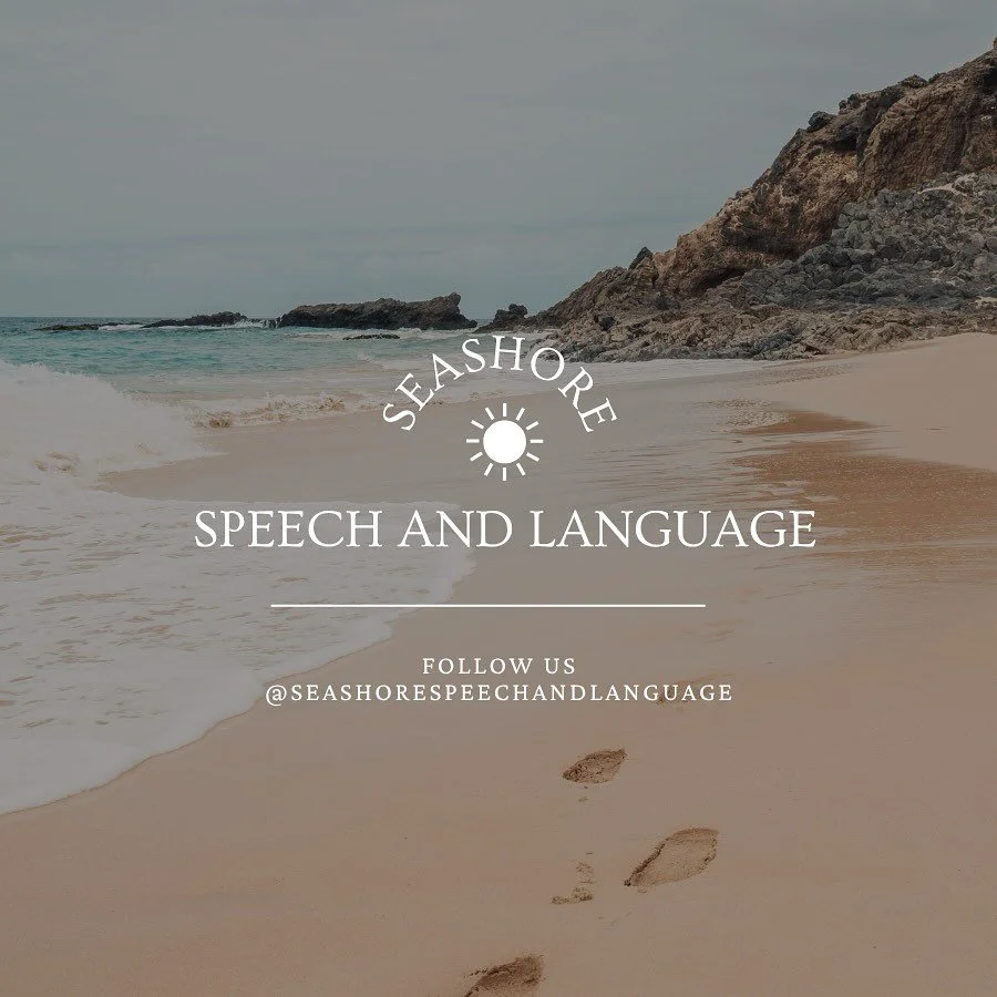 Stacie Bateman and Christina Johnson, partners at Seashore Speech and Language