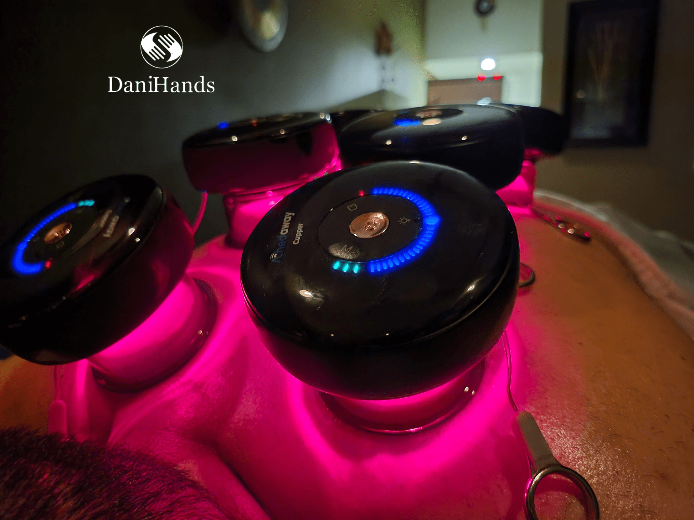 DaniHands studio gallery