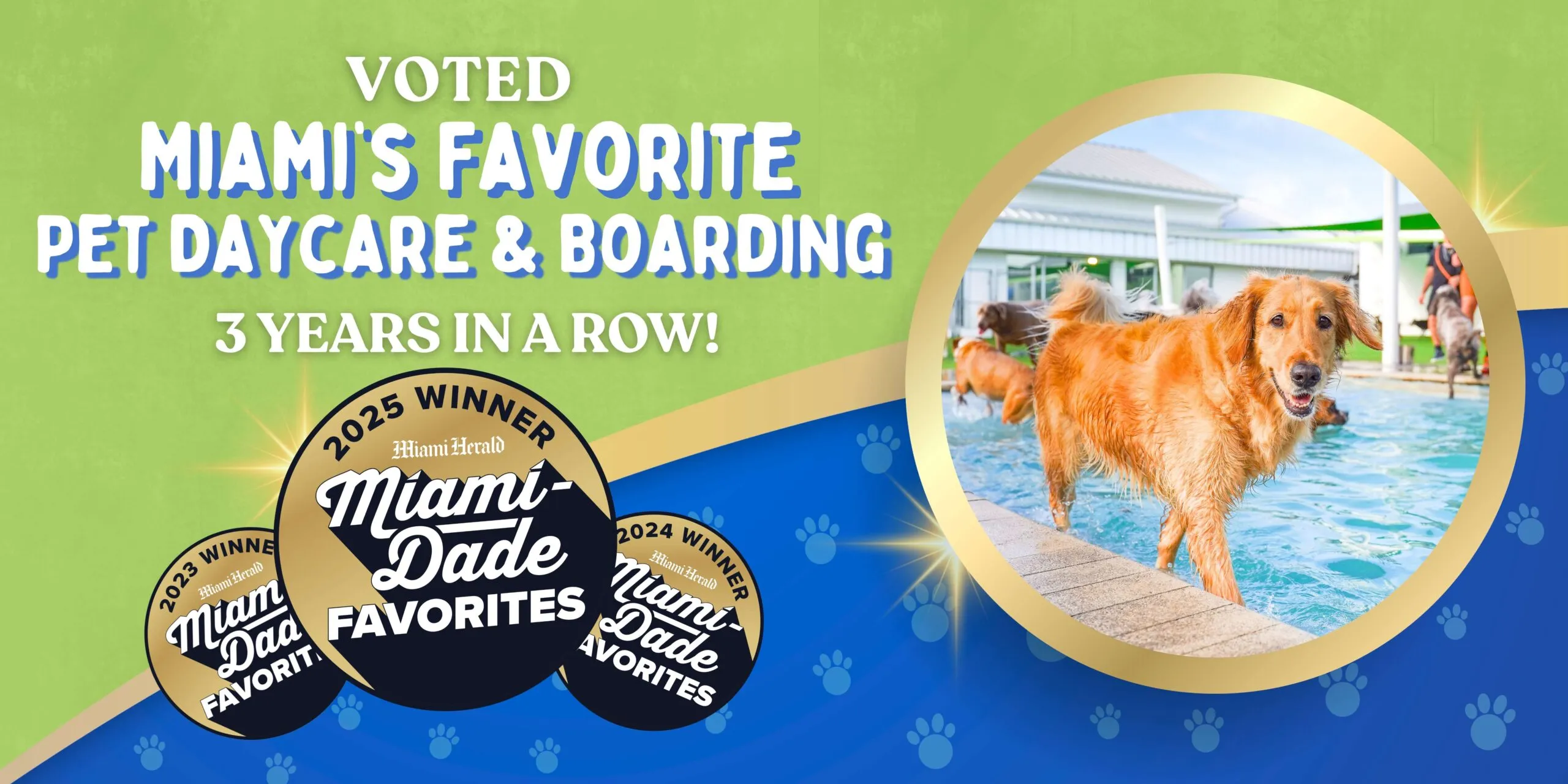 Somi Pet Resort Miami luxury pet boarding