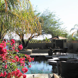 Sonoran Gardens garden detail