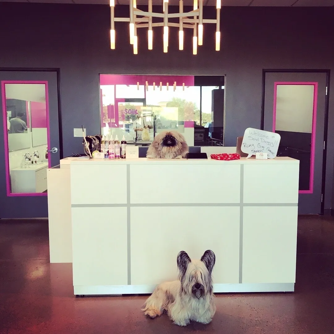 Soul Doggy grooming salon