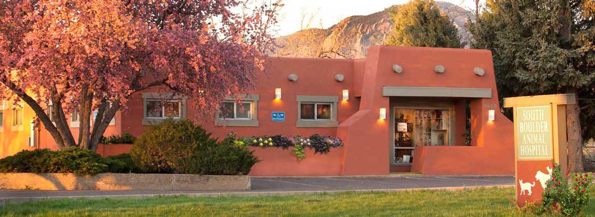 South Boulder Animal Hospital