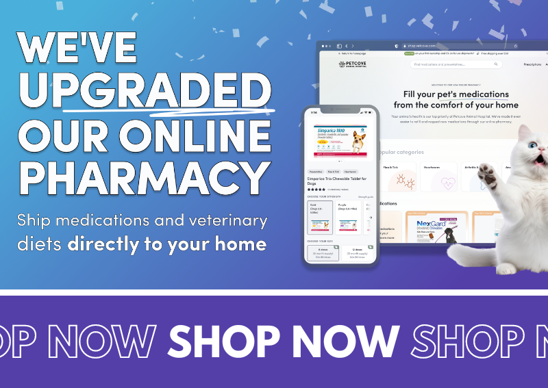 Online Pharmacy - VetCove