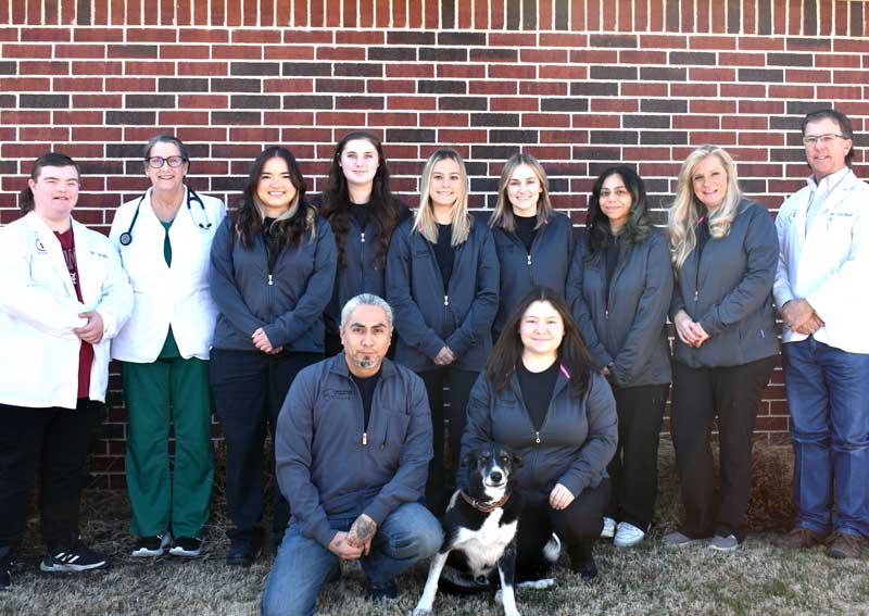 Meet our amazing team at South Meadow Animal Clinic