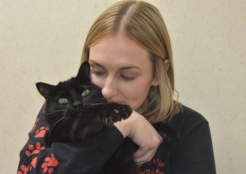Spencer giving our clinic cat Mr. Norris some cuddles