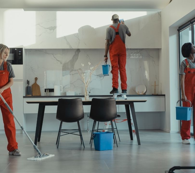 Professional house cleaning