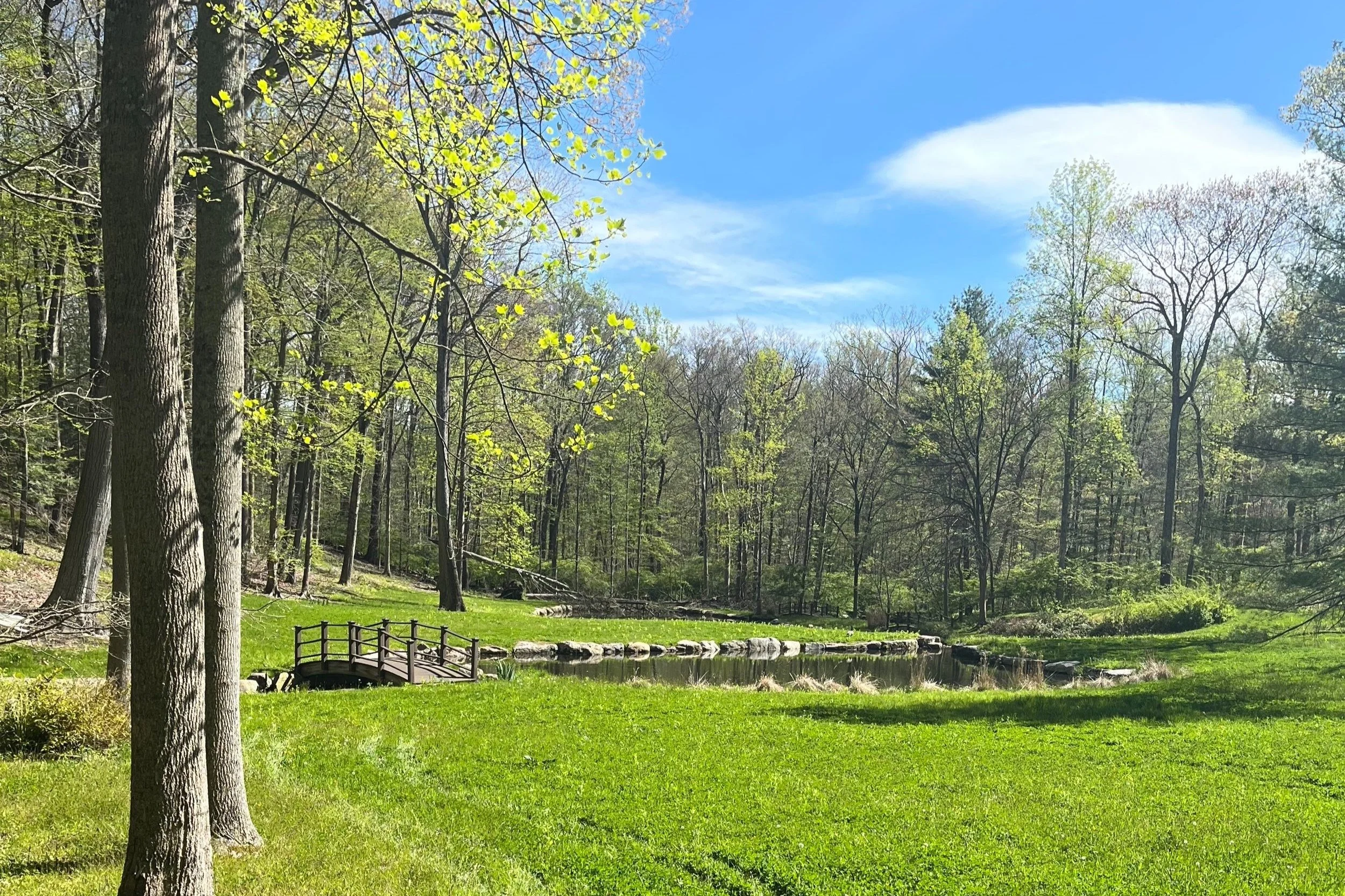 Serene acupuncture treatment room