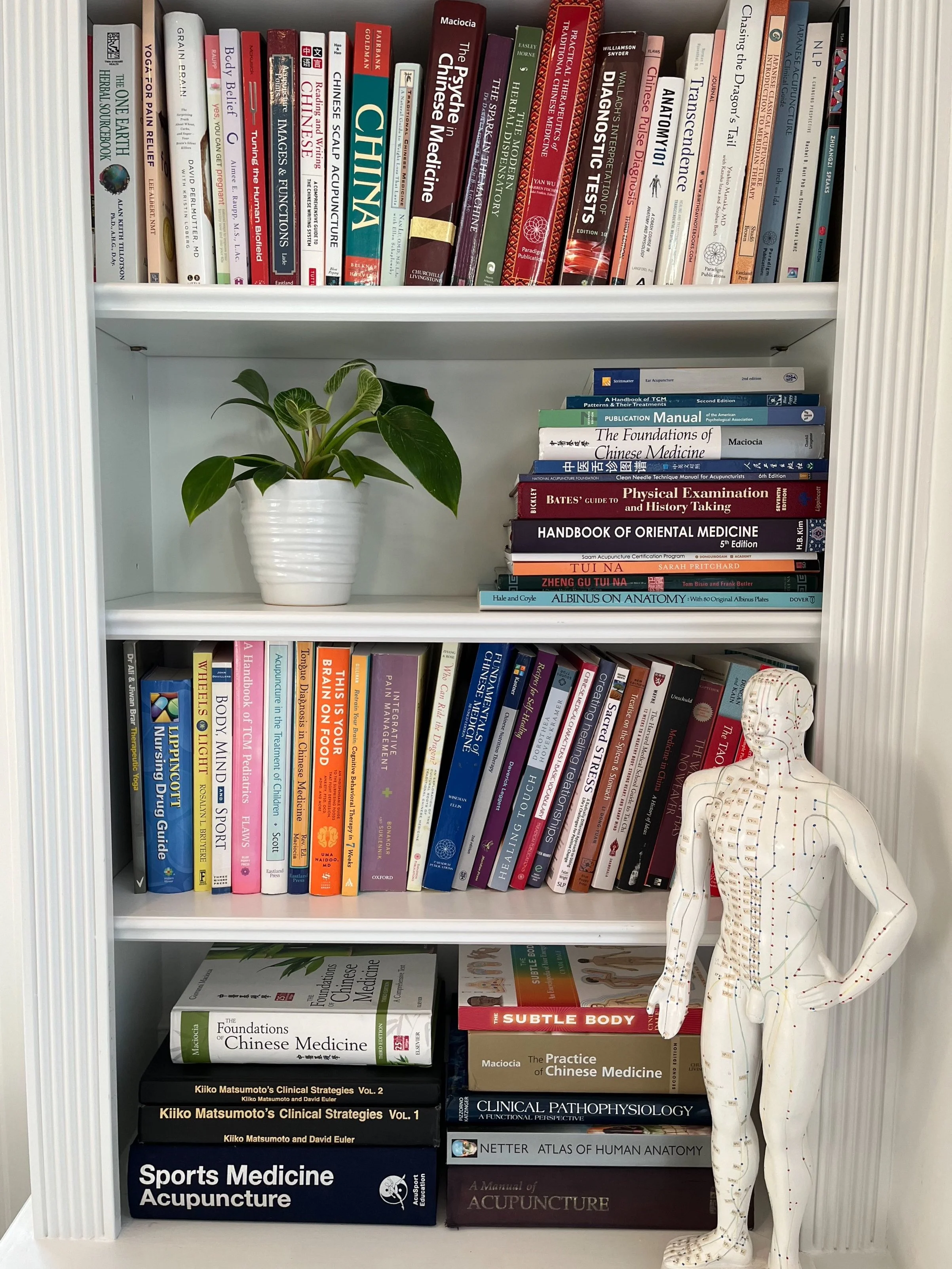 Susan Knight performing acupuncture