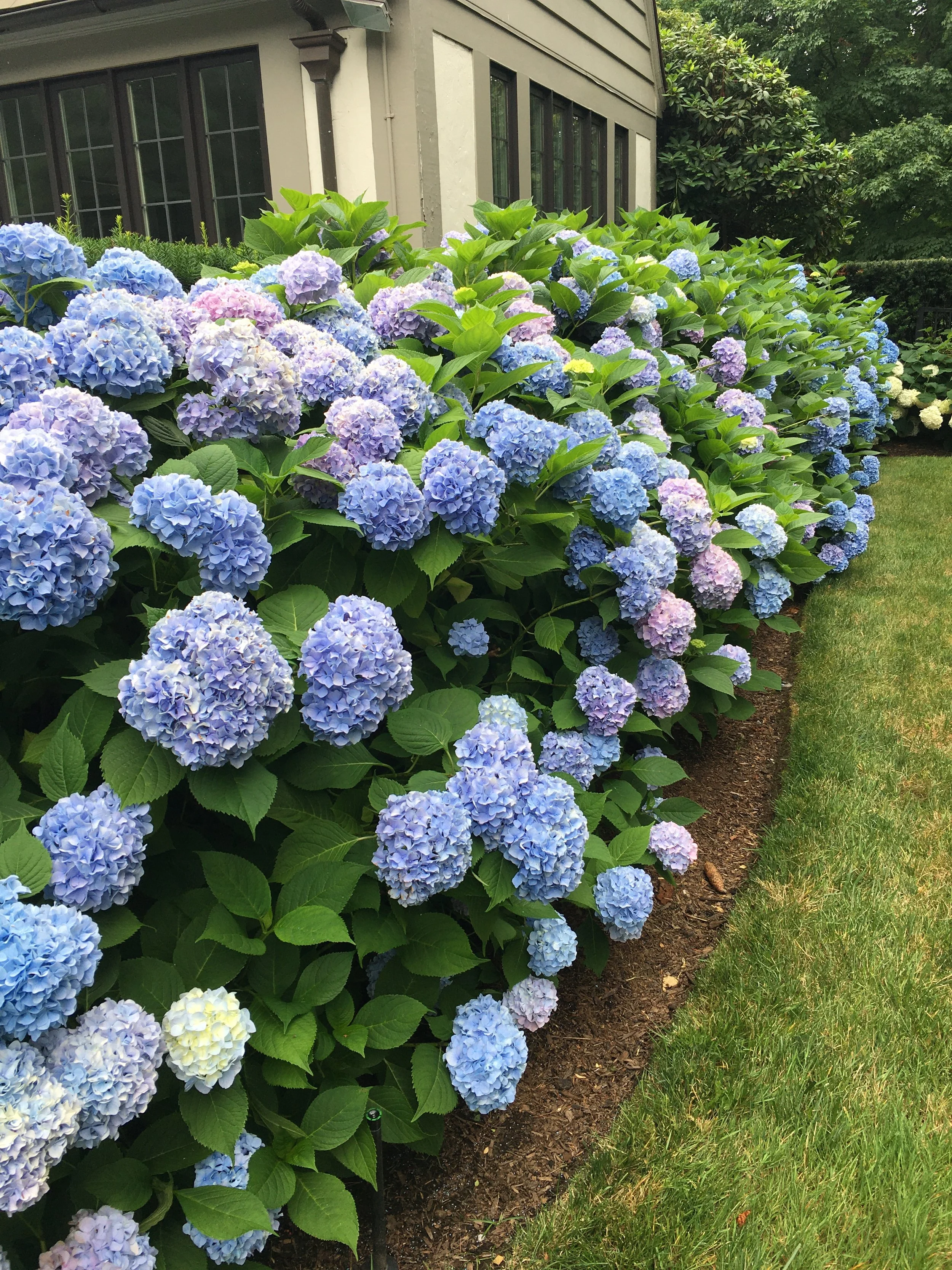 Acupuncture clinic environment