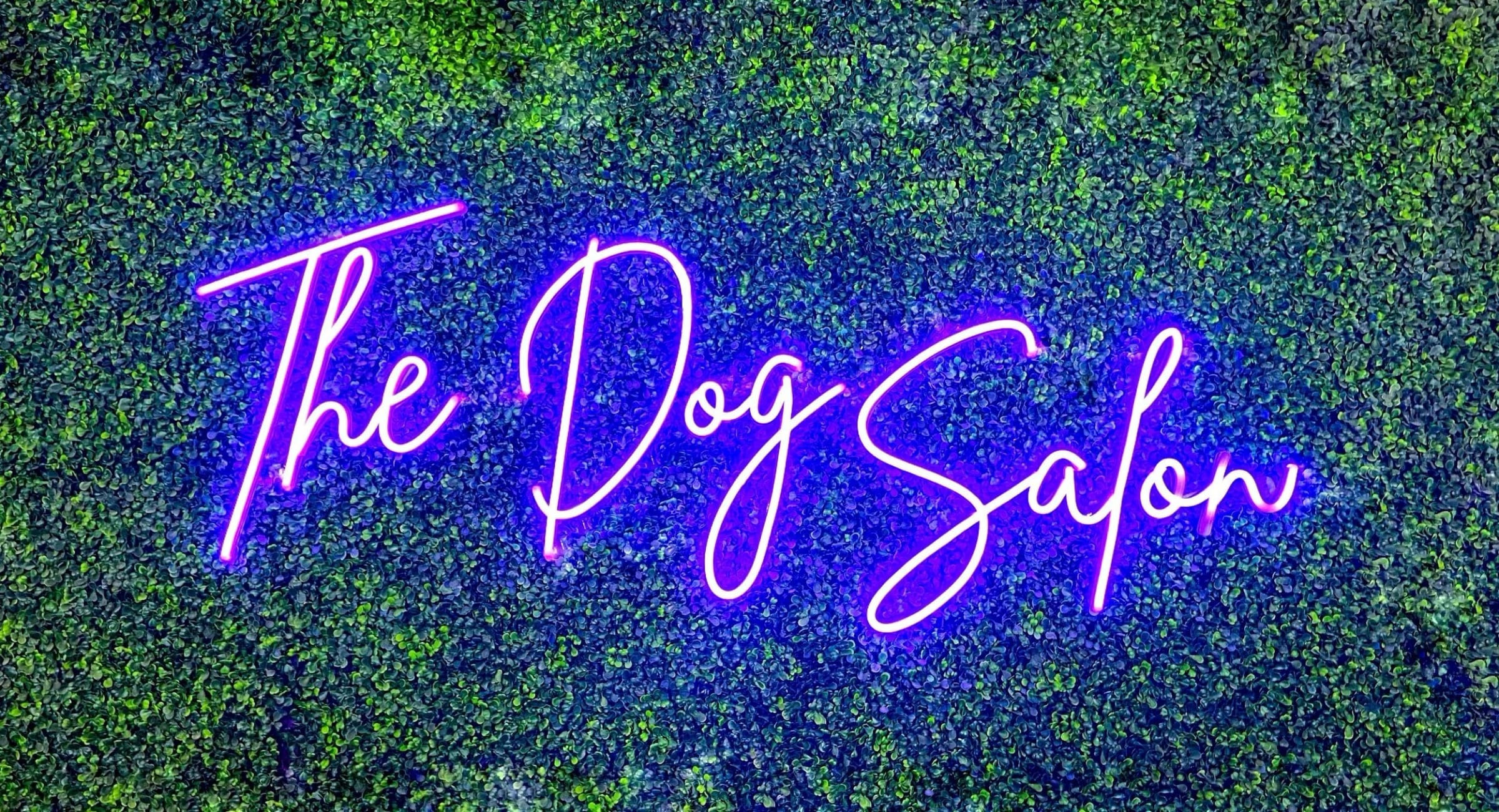 The Dog Salon neon sign