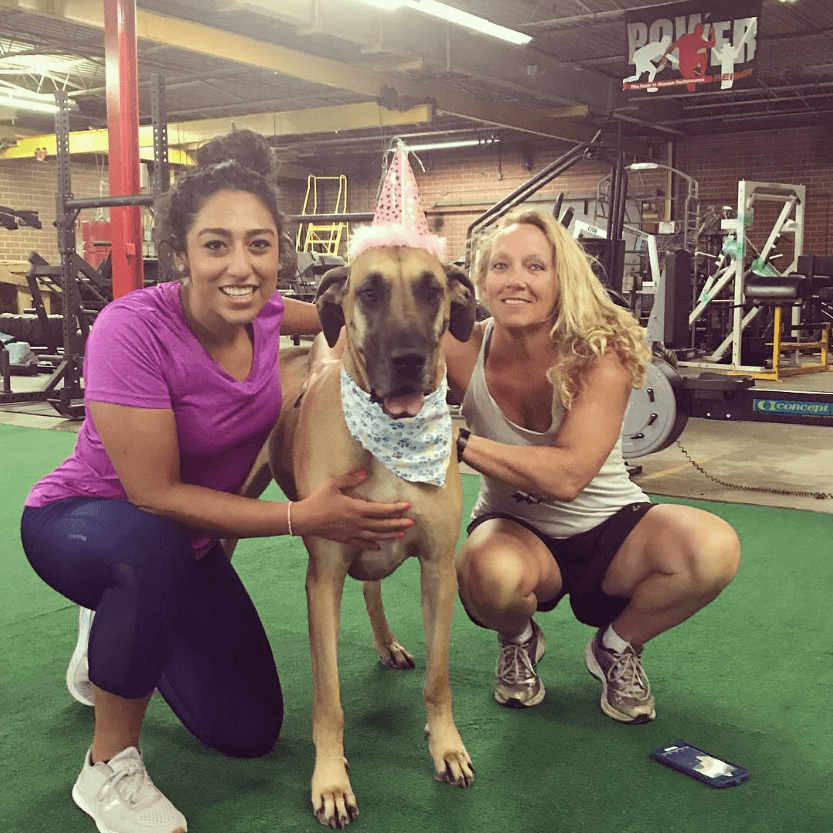 Fitness Factory Charlotte training area