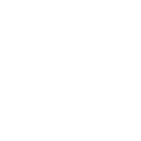 Fitness Factory Charlotte Logo