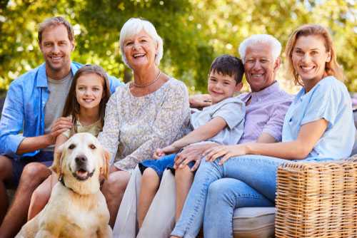 Estate planning consultation