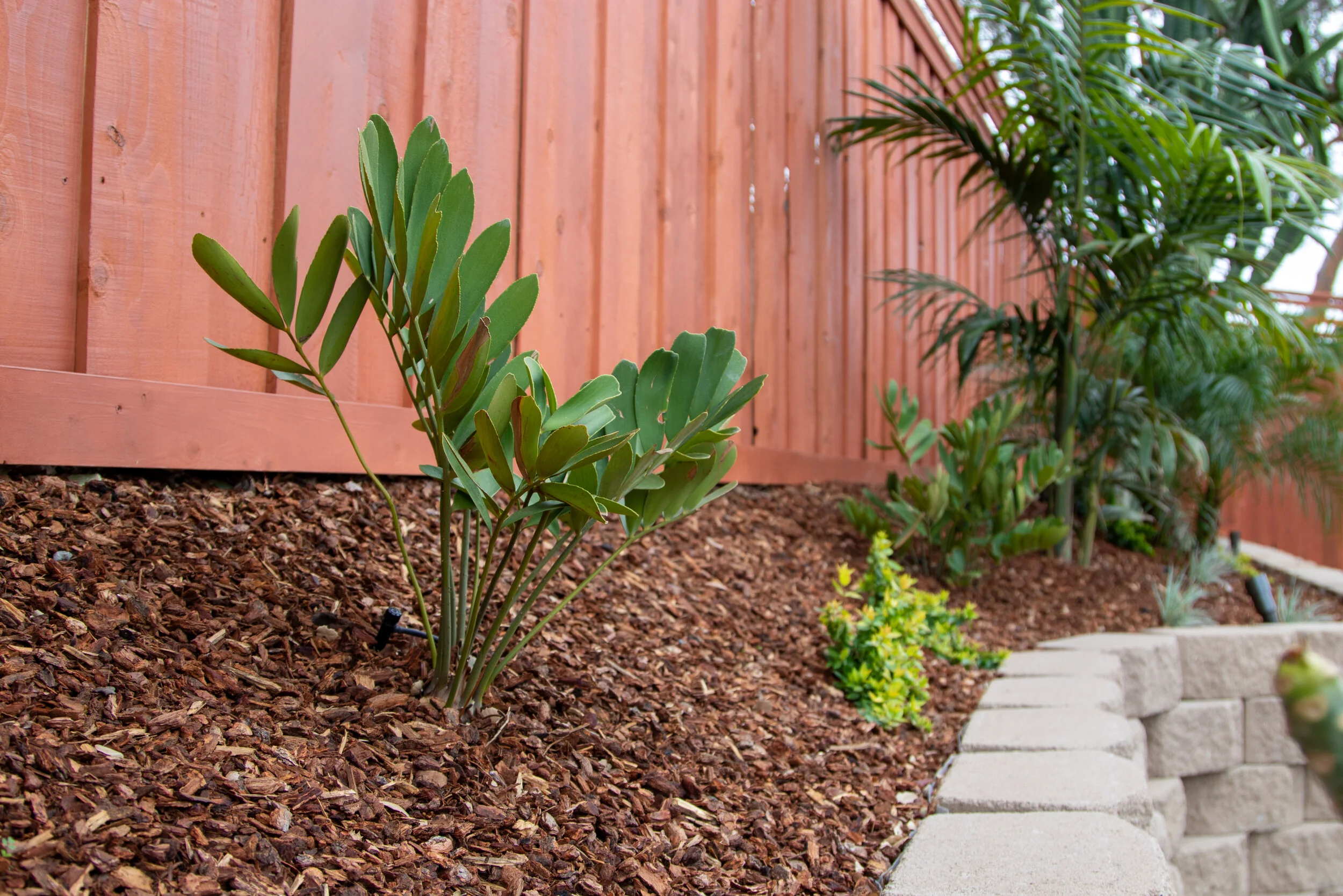 Hardscape and pavers