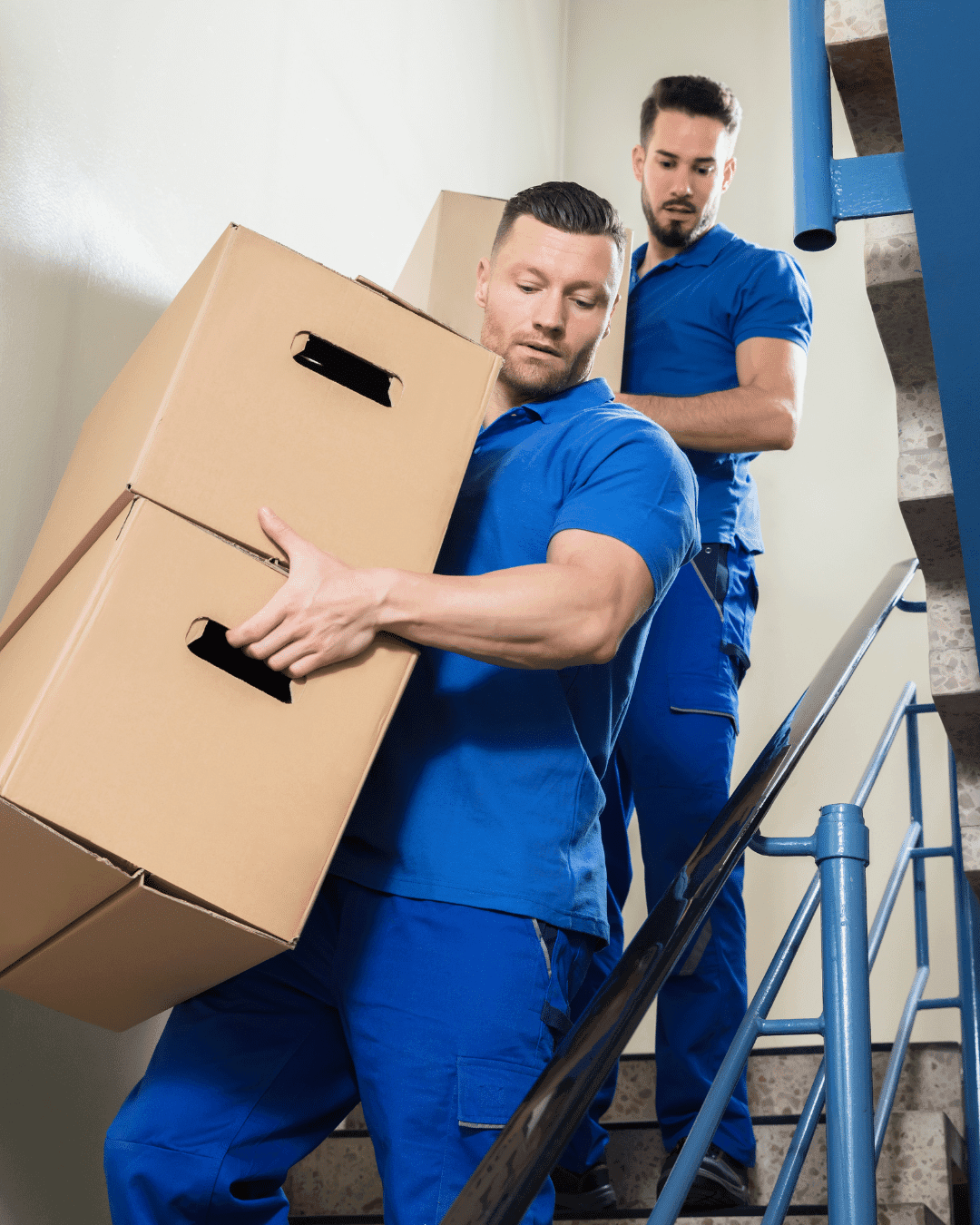 Office Relocation Fort Collins CO