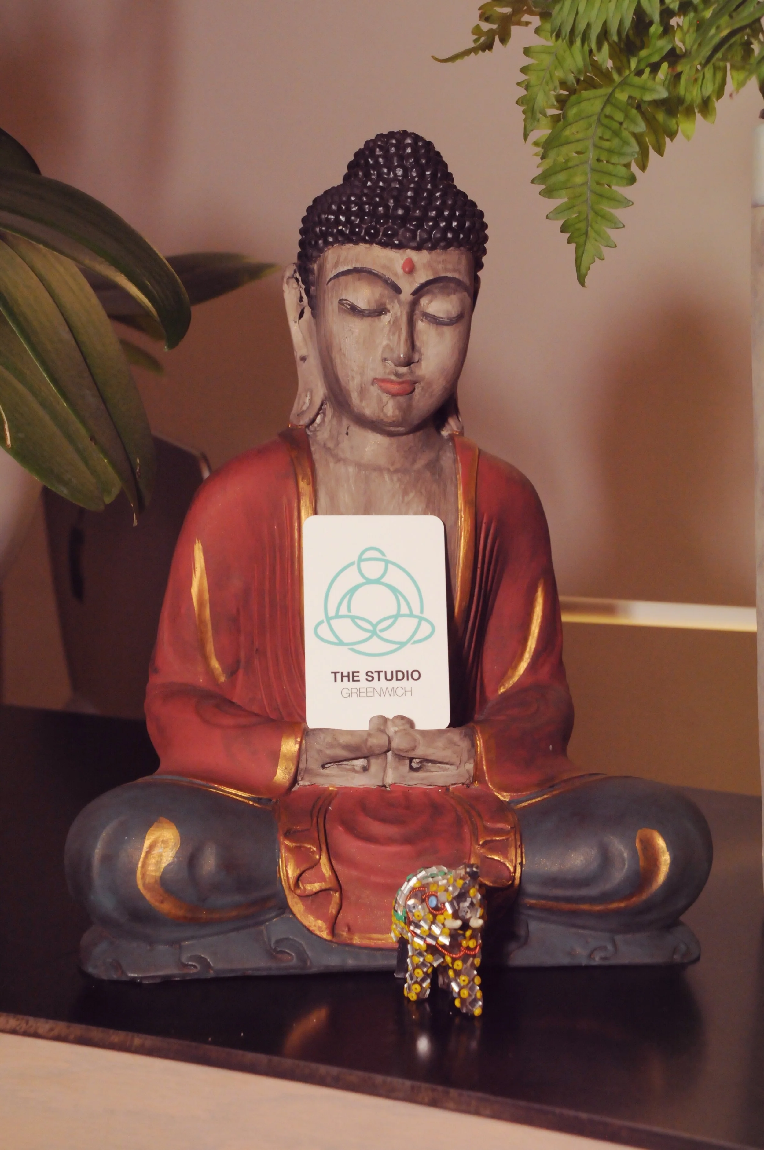 Vinyasa yoga class photography by Bob Capazzo